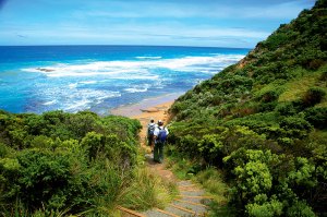 great-ocean-walk-the-track-heads-down-to-wreck-beach